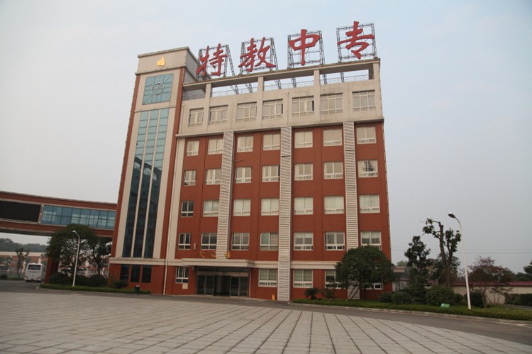 湖南省特教中等專業學校怎么樣