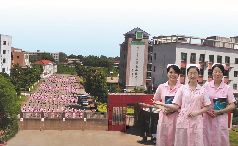 益陽市衛生職業技術學校