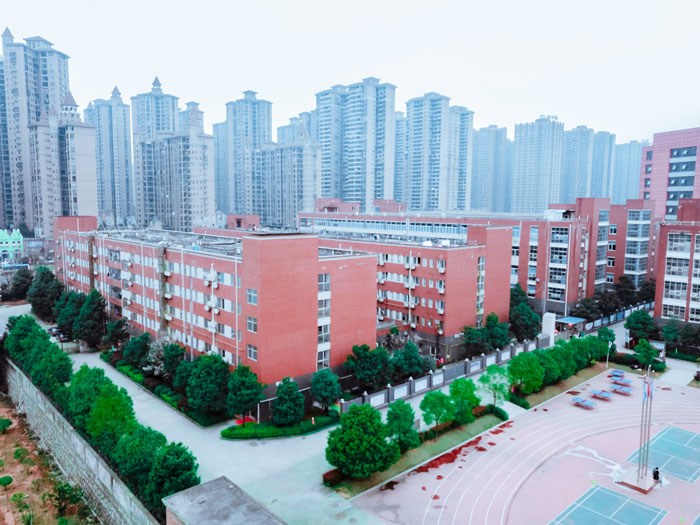 迪育橋職校網