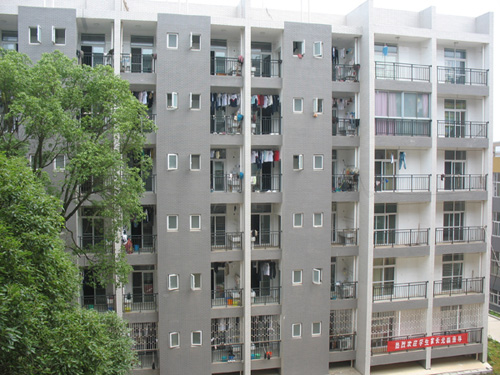 迪育橋職校網