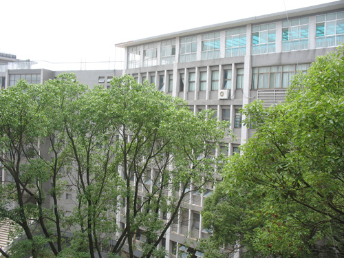 迪育橋職校網