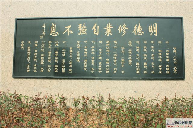 迪育橋職校網(wǎng)