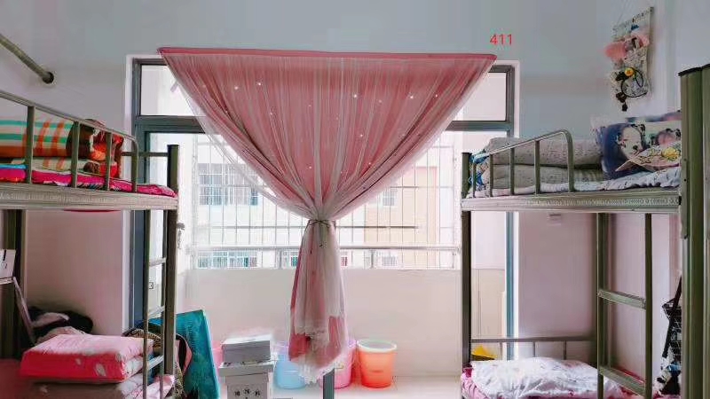 迪育橋職校網