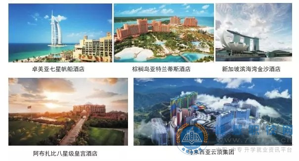  中專職高學校-迪育橋職校網 