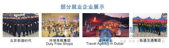  中專職高學校-迪育橋職校網 