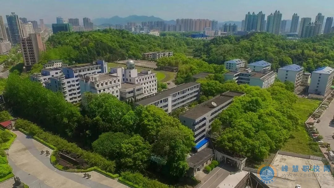 迪育橋職校網