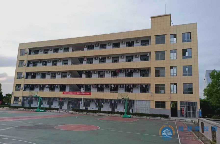 迪育橋職校網