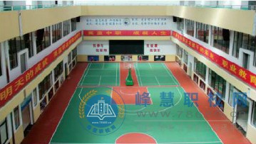 迪育橋職校網