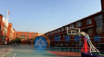 迪育橋職校網