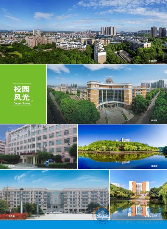  湖南中專職高學校-迪育橋職校網