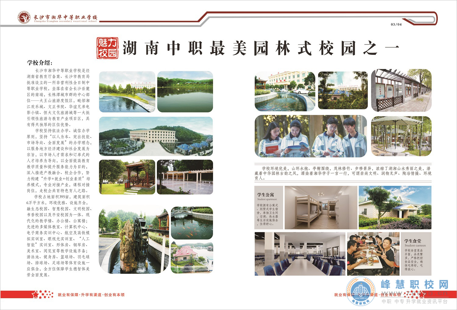  湖南中專職高學校-迪育橋職校網