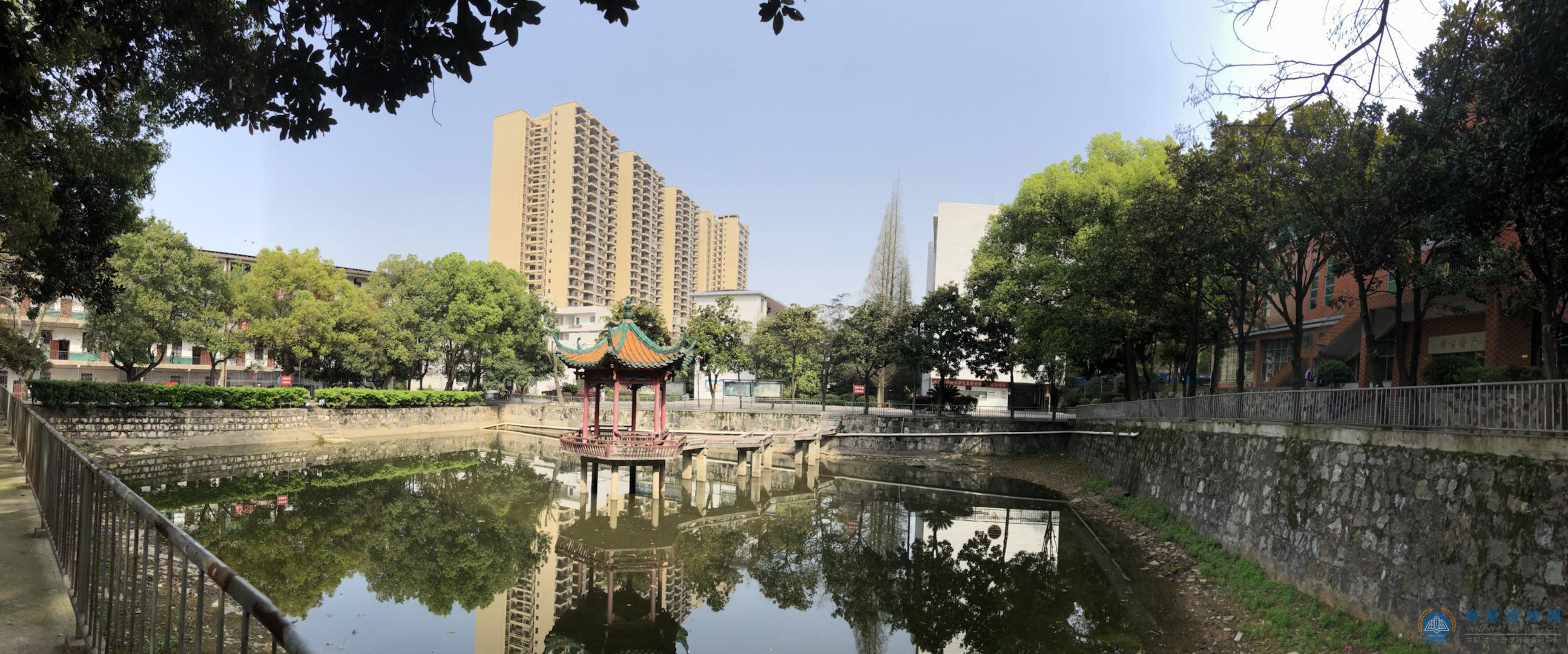 迪育橋職校網