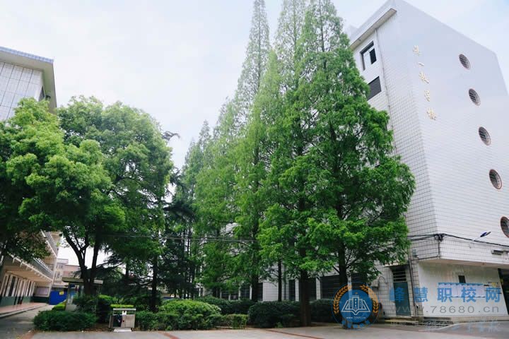 迪育橋職校網