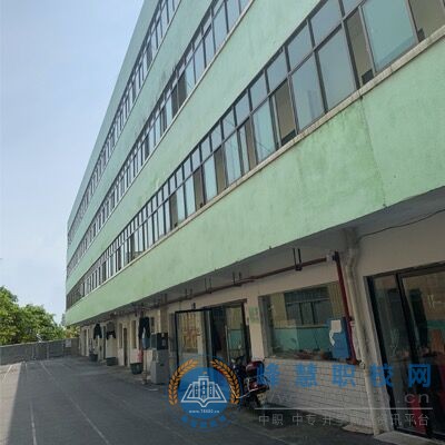 迪育橋職校網