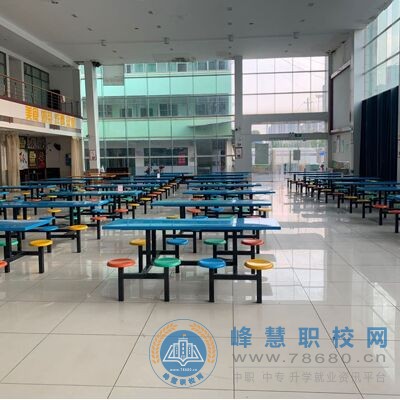 迪育橋職校網