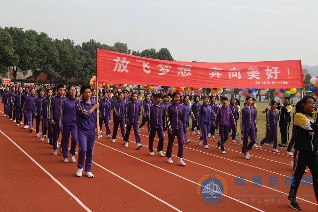 迪育橋職校網