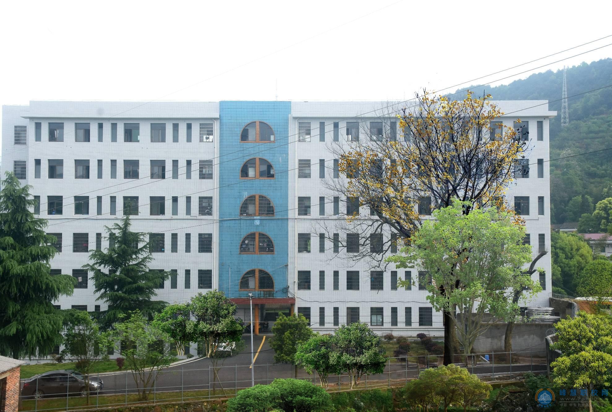 迪育橋職校網