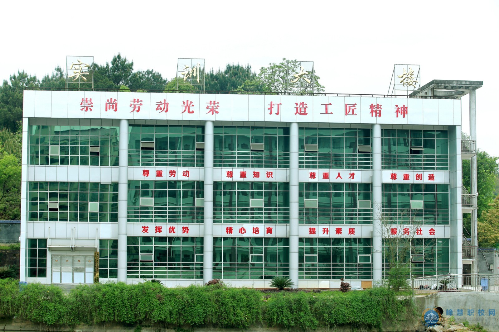 迪育橋職校網