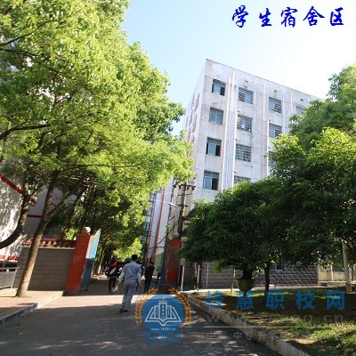 迪育橋職校網