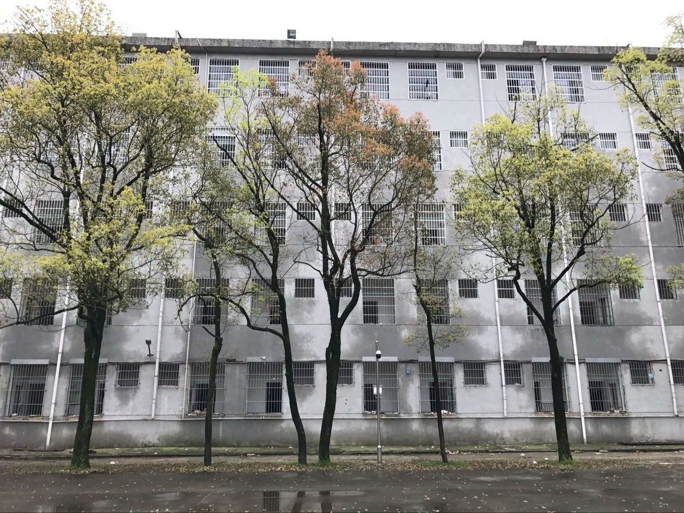 迪育橋職校網
