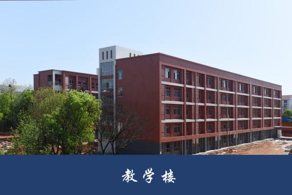 迪育橋職校網