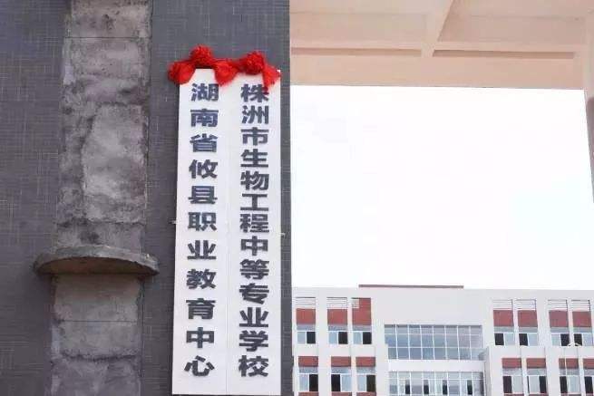 迪育橋職校網