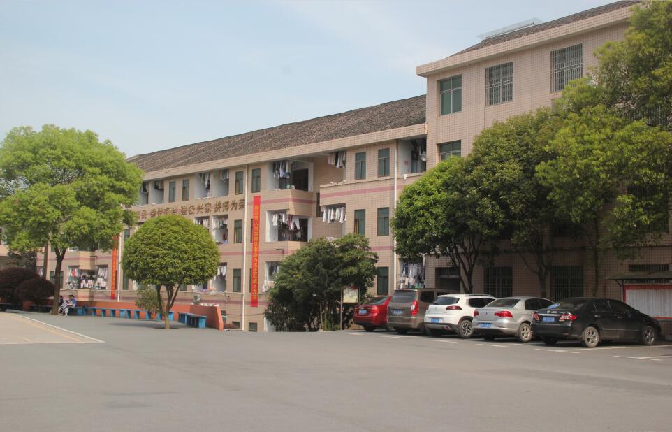 迪育橋職校網