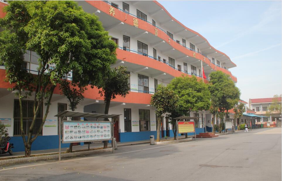 迪育橋職校網