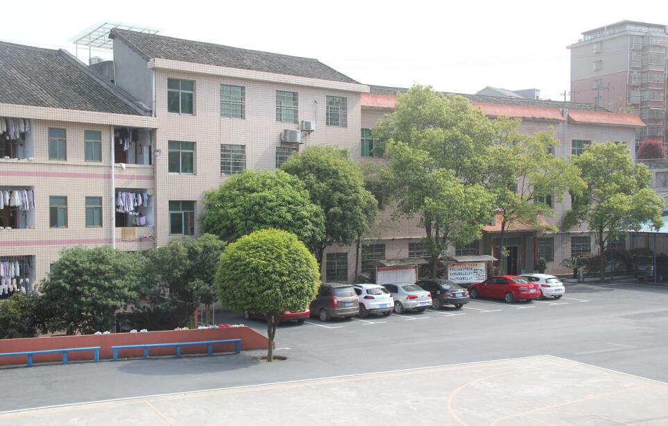 迪育橋職校網