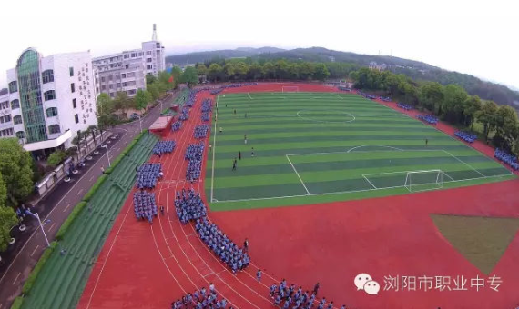 迪育橋職校網