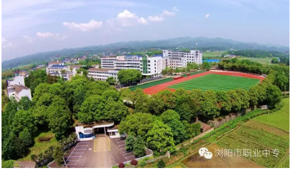 迪育橋職校網