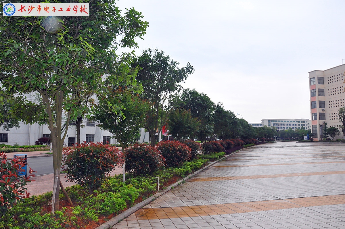 
長沙市電子工業(yè)學(xué)校校園綠化