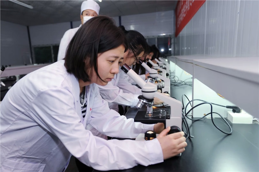 迪育橋職校網
