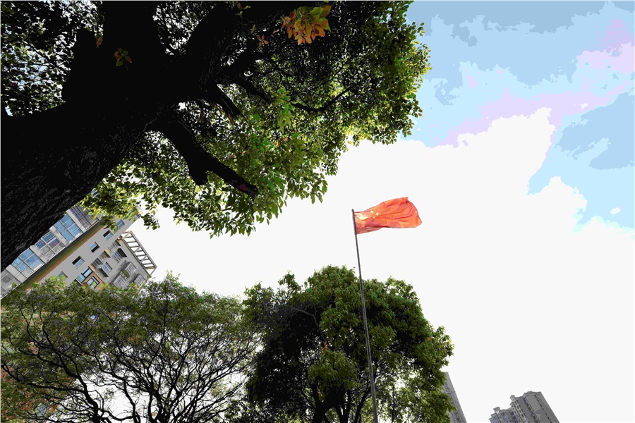 迪育橋職校網