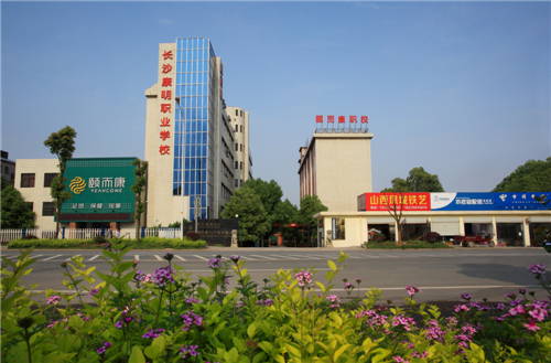 迪育橋職校網