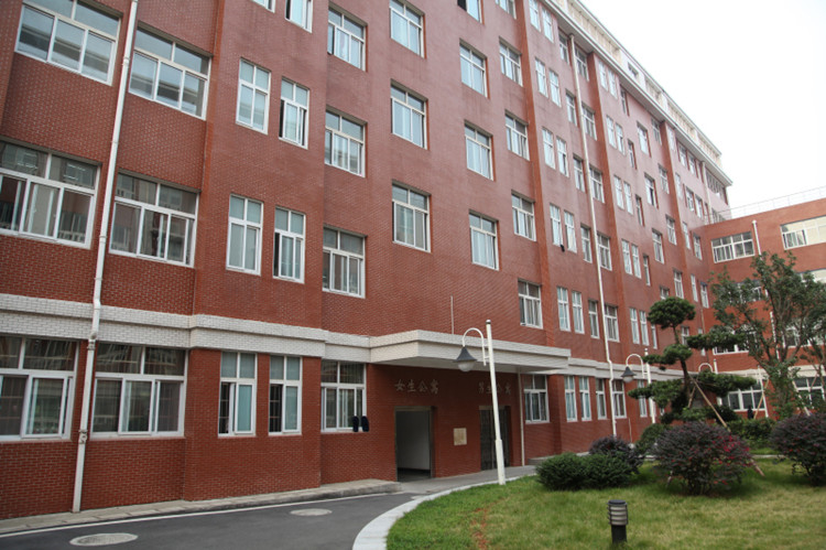迪育橋職校網