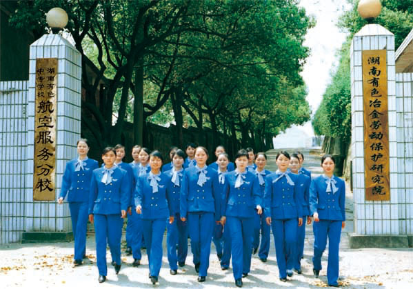 迪育橋職校網