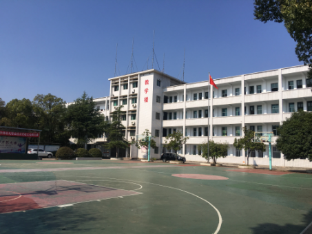 迪育橋職校網