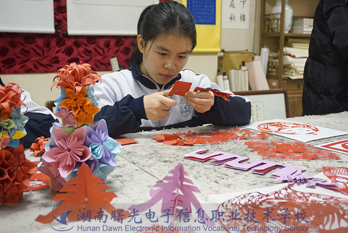 湖南曙光電子信息職業(yè)技術(shù)學校學生作品展