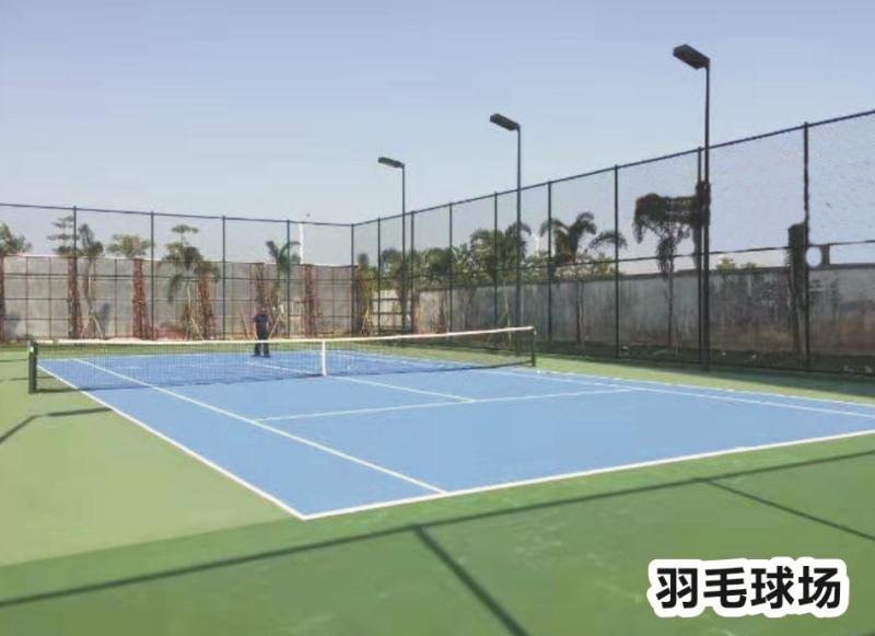 迪育橋職校網