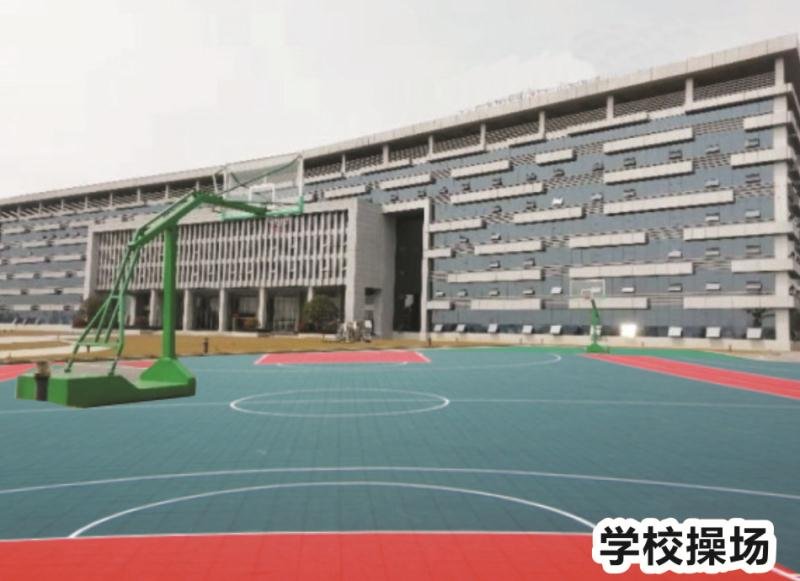 迪育橋職校網