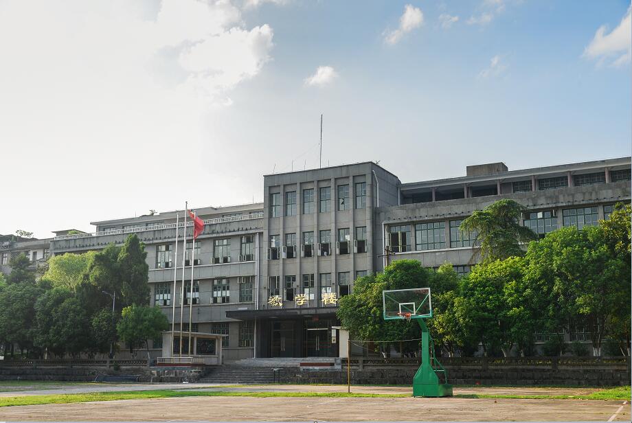 迪育橋職校網