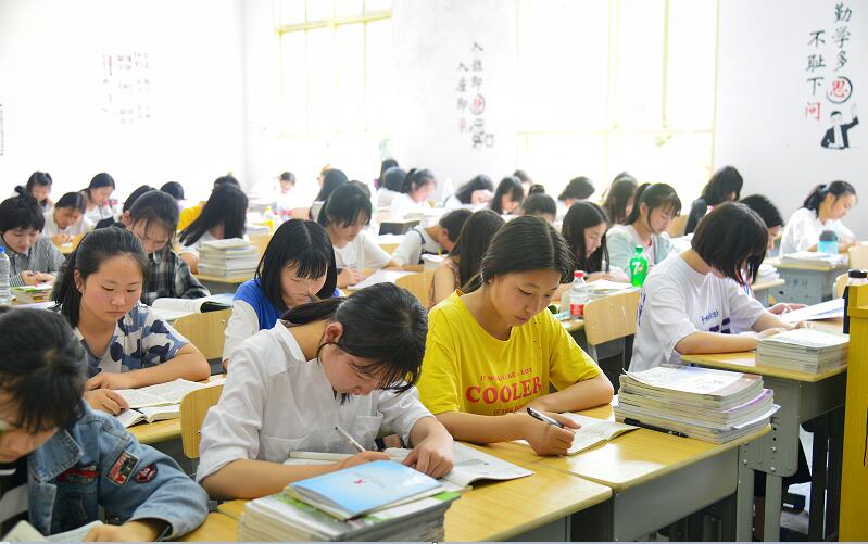 迪育橋職校網