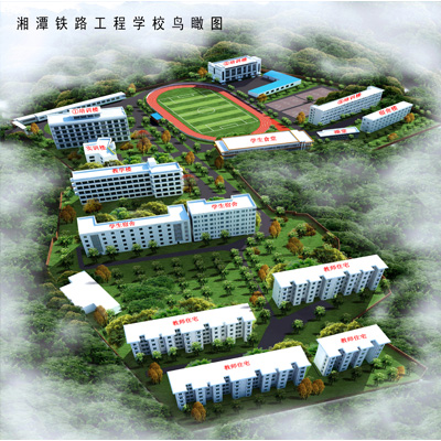 迪育橋職校網