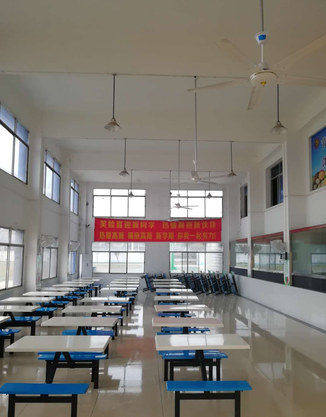 迪育橋職校網