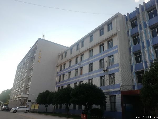 迪育橋職校網