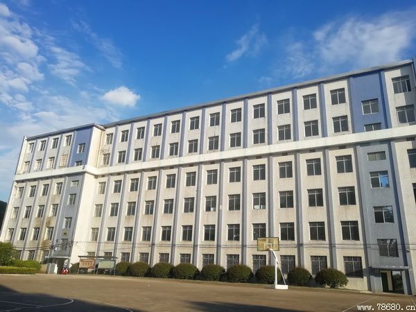 迪育橋職校網