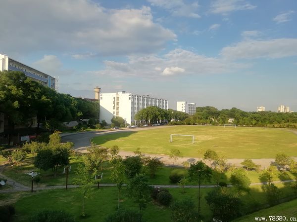迪育橋職校網
