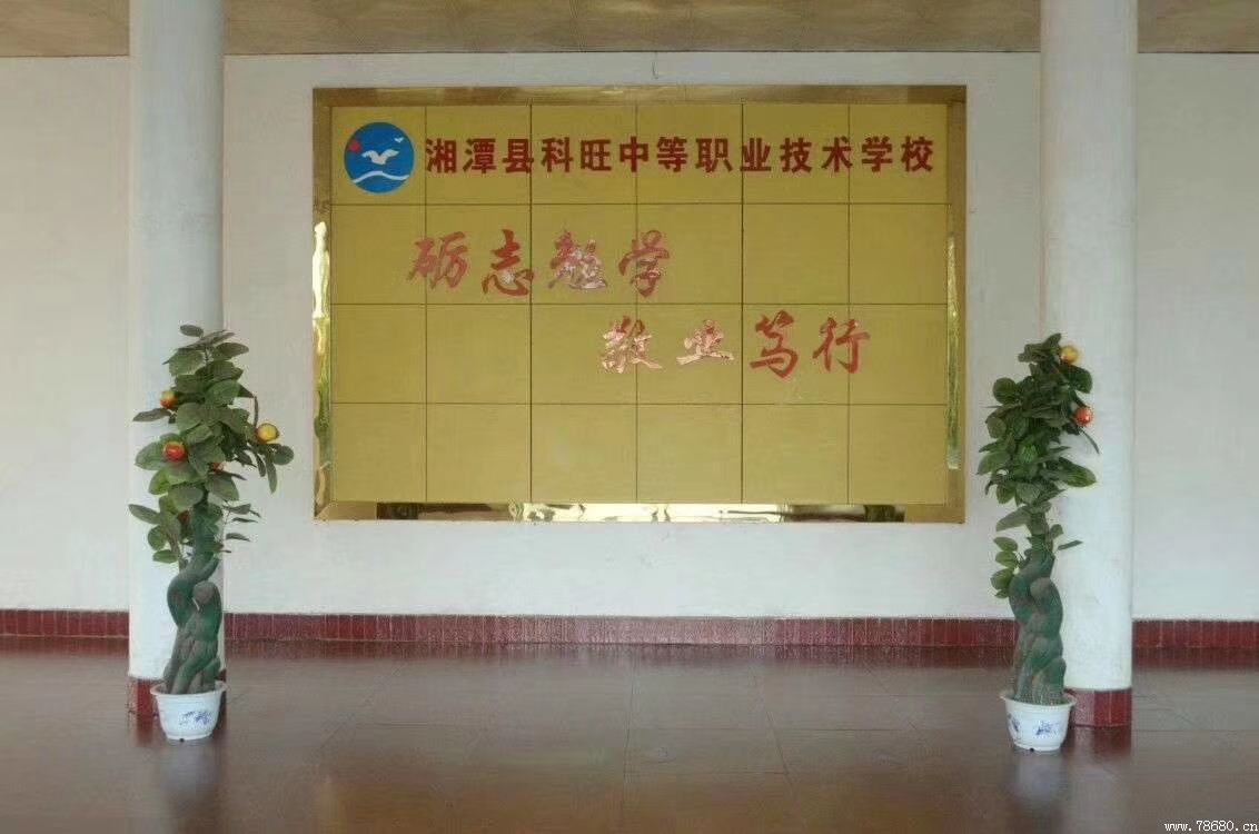 迪育橋職校網