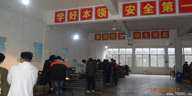 迪育橋職校網